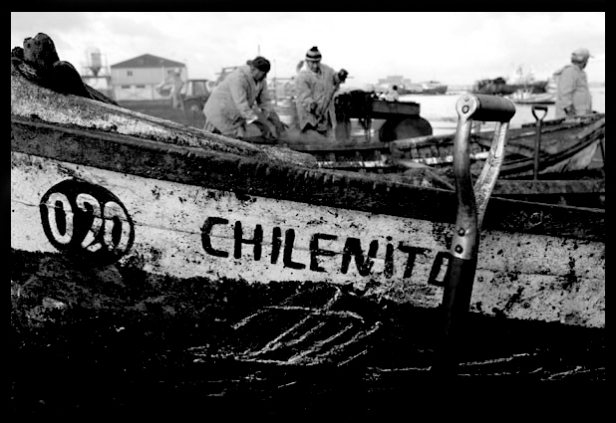 chilenito-bote1